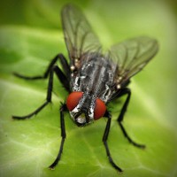 /album/saatradtiopren/photolia-a01-jpg/