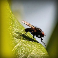 /album/saatradtiopren/photolia-a04-jpg/