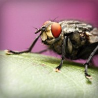 /album/saatradtiopren/photolia-a08-jpg/